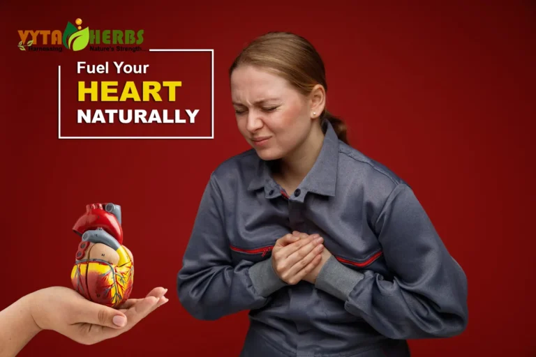 Preventing Heart Attacks Naturally: Effective Lifestyle Changes and Herbal Remedies for a Healthier Heart