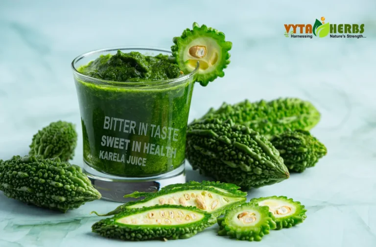 Karela Juice: Nature’s Bitter Elixir for Blood Sugar Control and Holistic Wellness