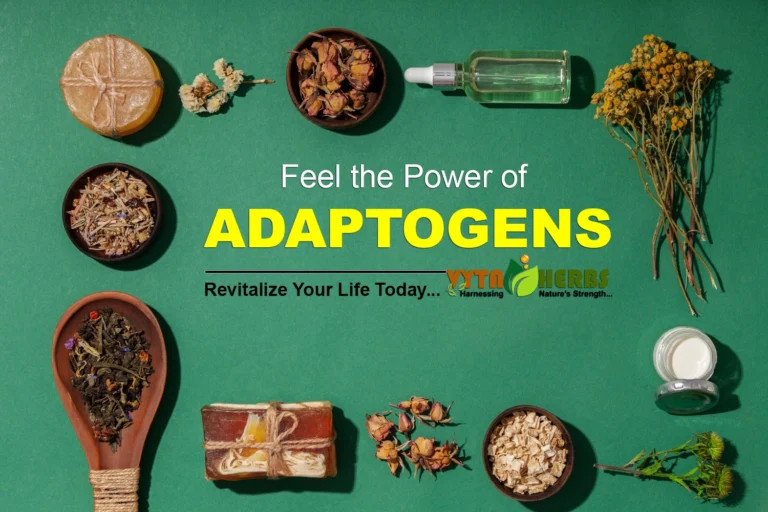 Benefits of Using Adaptogens for Mental and Physical Health