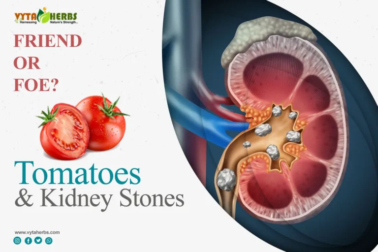 Tomatoes and Kidney Stones: Friend or Foe? Before Your Next Bite