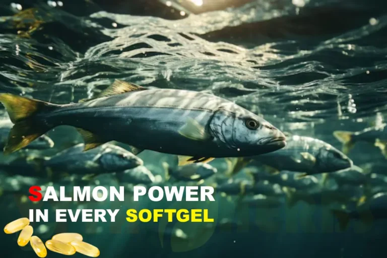 Why Salmon Fish is the Prime Source for Omega-3 Fish Oil Capsules